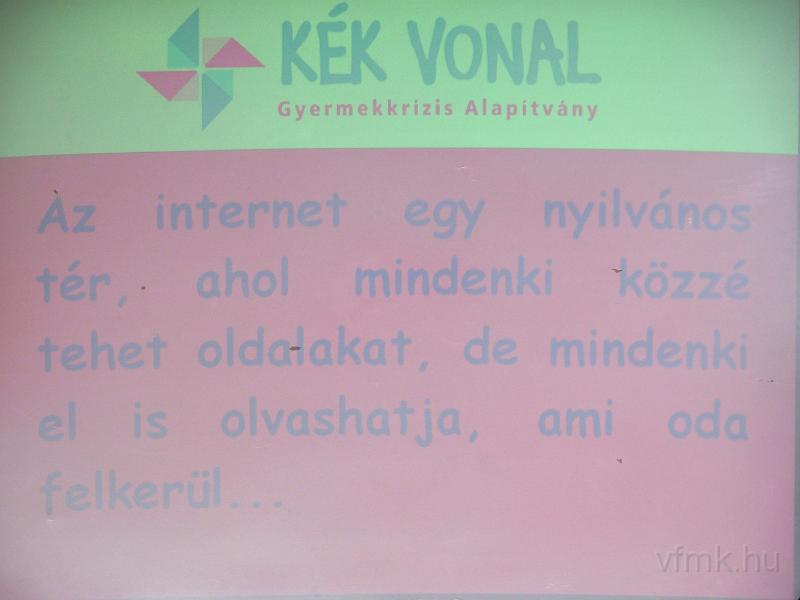 065a_Kek_vonal_2.JPG - Mit jelent az internet?